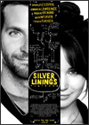 8 Academy Awards Nominations Silver Linings Playbook